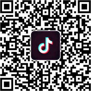 抖音小程序